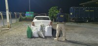 Fuga, perseguição e 57kg de maconha são apreendidos pela PRF na BR-232