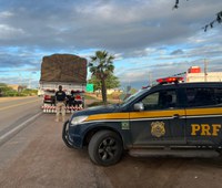 Carga de 16 toneladas de gesso sem nota fiscal é retida em Ouricuri