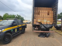 PRF apreende cerca de 400 mil maços de cigarros no sertão de PE