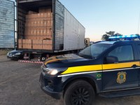PRF identifica indícios de fraude fiscal no transporte de 400 mil maços de cigarros