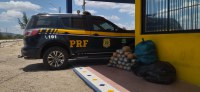 PRF apreende mais de 100 kg de maconha no sertão de Pernambuco