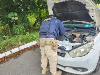 Carro roubado há cinco anos em Olinda é recuperado em ação conjunta na BR 423