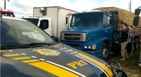 PRF flagra transporte de 25 toneladas de milho sem nota fiscal em Caruaru