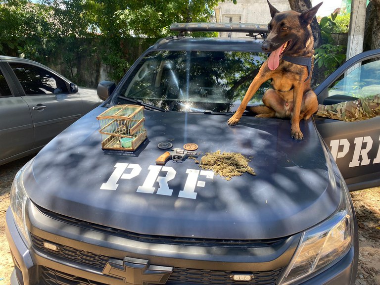 combate ao crime 16.01.jpg