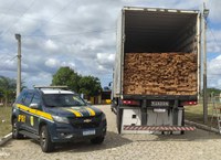Madeira transportada ilegalmente é apreendida pela PRF na BR-116