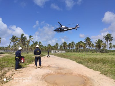 NOA TREINAMENTO 2.jpg