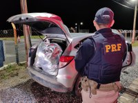 PRF apreende 96 Kg de maconha durante abordagem na BR-232