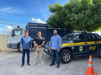 PRF e prefeitura de Petrolina avaliam acordo para recolher animais nas rodovias