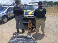 PRF e PM apreendem 11 kg de cocaína na Br-104, em Caruaru