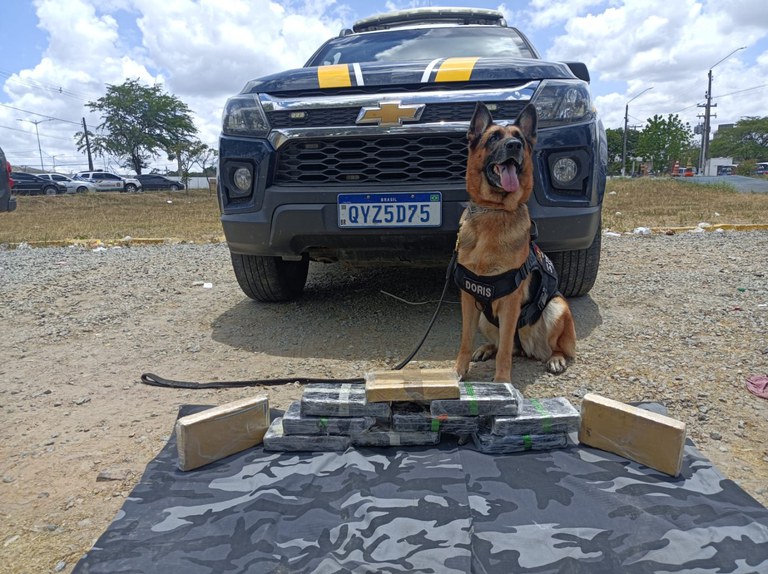 cocaina caruaru 03.11 04.jpg