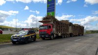 PRF realiza fiscalização do transporte de cana-de-açúcar na Mata Sul de Pernambuco