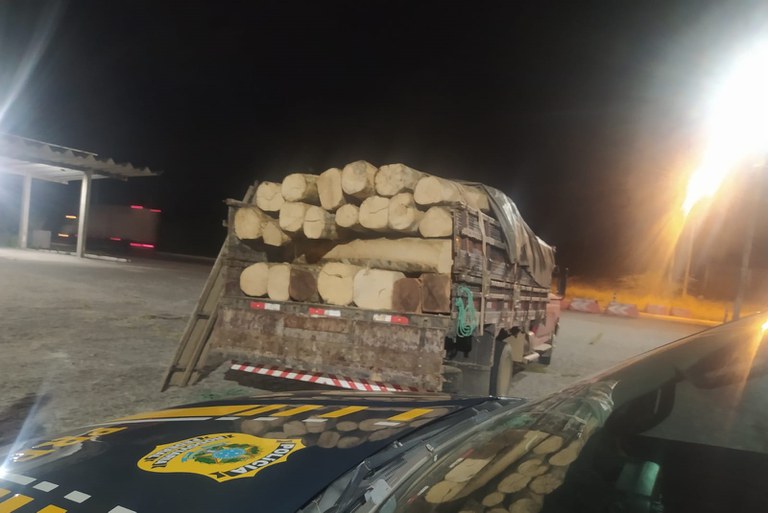 Madeira da Mata Atlântica sem documentação legal é apreendida pela PRF em Gravatá