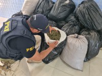 PRF apreende 170 kg de maconha em Petrolina