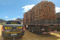 PRF apreende 67 m³ de madeira irregular em Salgueiro