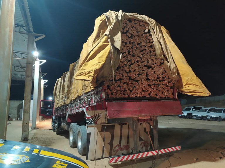 madeira sertão 01.jpg