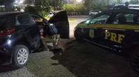 PRF recupera em Caruaru carro roubado em Recife