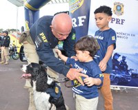 Exposição marca encerramento da Semana Nacional de Trânsito em Pernambuco