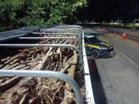 PRF flagra homem inabilitado transportando madeira ilegalmente