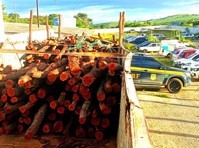 16m de madeira ilegal 1.2.jpeg