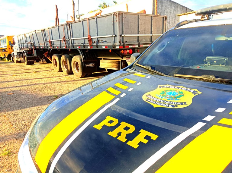 16m de madeira ilegal 1.jpeg