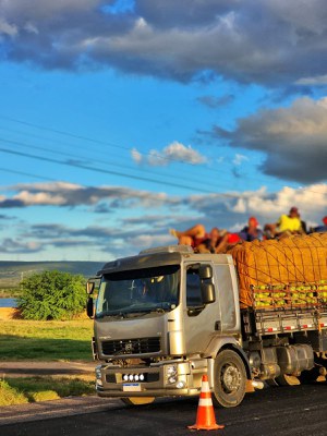 8 Pessoas na carga do caminhão 1.2.jpeg