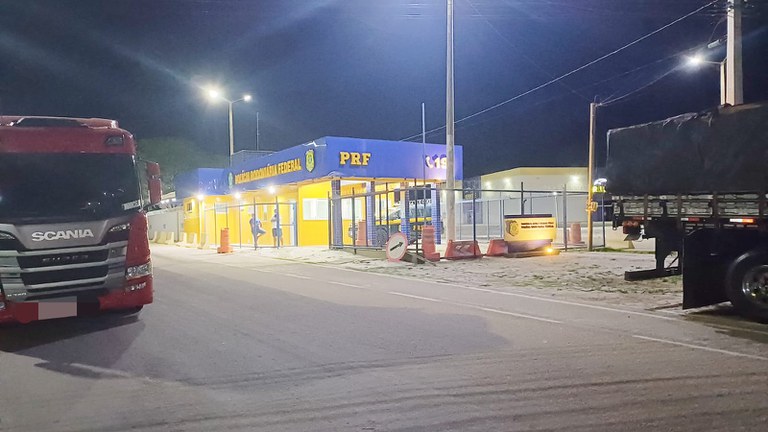 PRF apreende 88 m³ de madeira irregular no Sertão de Pernambuco