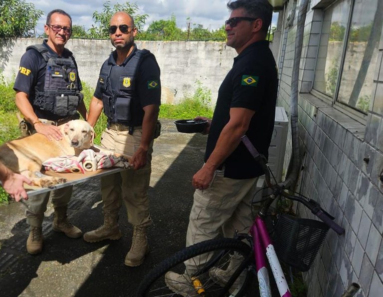 WhatsApp Image 2025-08-11 at 08.08.37-3.jpeg