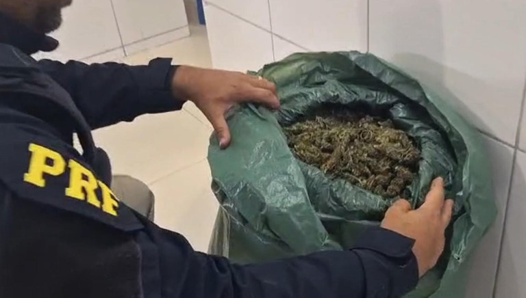 PRF detém motorista inabilitado com 13 Kg de maconha em Petrolina