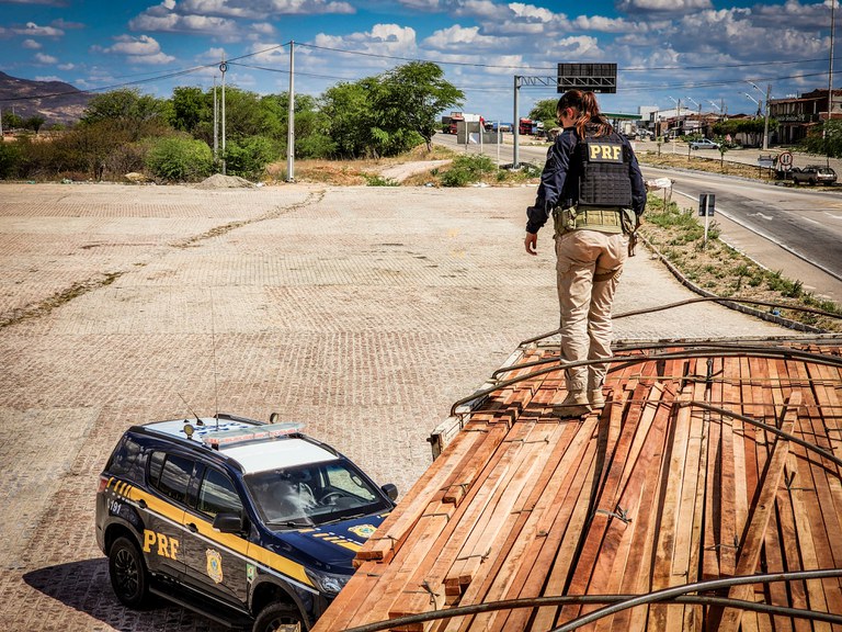 PRF realiza operação de combate a crimes ambientais em Pernambuco
