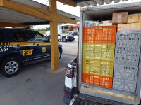 Mais de uma tonelada de queijo sem nota fiscal e sem refrigeração é apreendida pela PRF em São Caetano