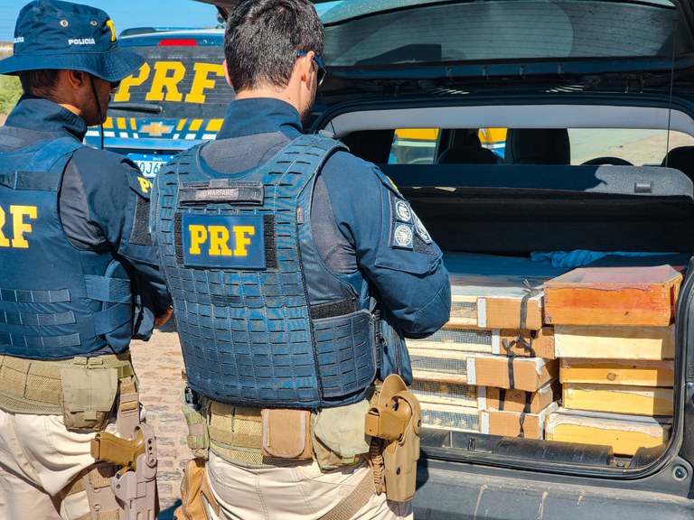 Irmãos são detidos pela PRF com mais de 400 pássaros silvestres em Venturosa/PE
