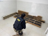 PRF resgata mais de 900 animais silvestres em Garanhuns