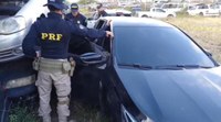 PRF realiza treinamento para combater fraudes veiculares em Pernambuco.