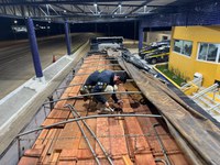 Madeira apreendida durante operação realizada pela PRF é doada pelo IBAMA em Pernambuco