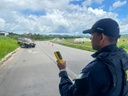 Semana Santa sem mortes nas rodovias federais de Pernambuco