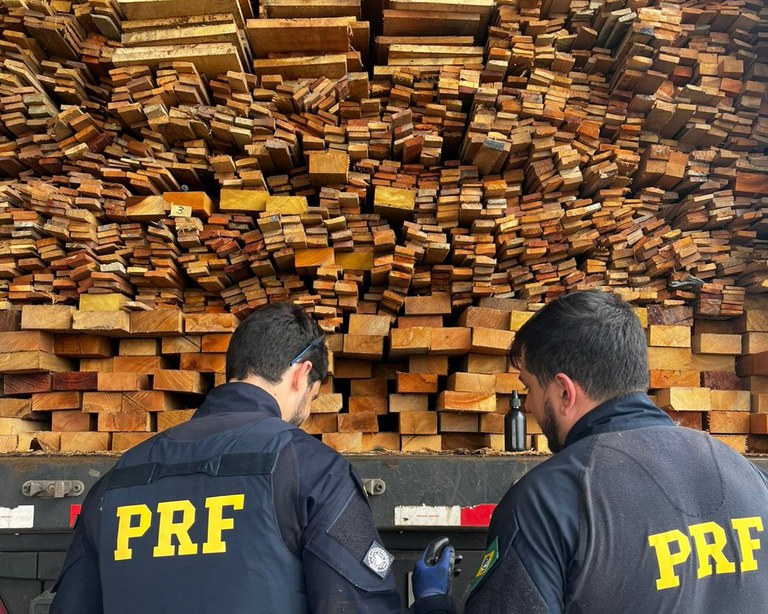 PRF apreende 337 m³ de madeira ilegal durante operação no Sertão de Pernambuco