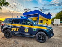 PRF apreende droga semelhante a skunk, após colisão de trânsito em Arcoverde