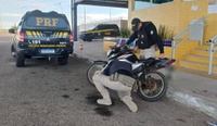 PRF recupera motocicleta com sinais de adulteração em Petrolina