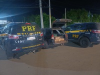 PRF resgata 250 pássaros silvestres na BR 116, em Parnamirim