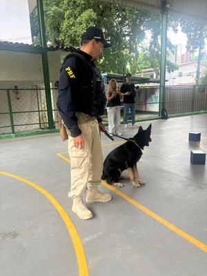 Ação educativa Maio Laranja