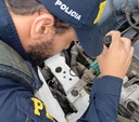 Mulher se emociona ao saber que carro foi recuperado no Grande Recife