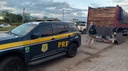 PRF e IBAMA apreendem 165 m³ de madeira ilegal durante operação no Sertão
