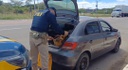 PRF resgata dois tatus durante fiscalização na BR 232, em Serra Talhada