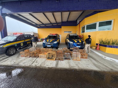 resgate de aves silvestres.