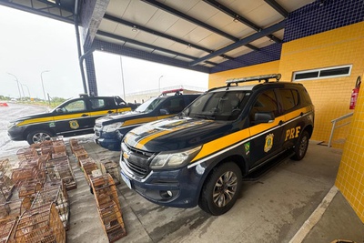 resgate de 137 aves silvestres