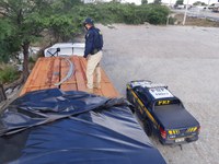 PRF retém caminhão carregado com madeira irregular em Sertânia