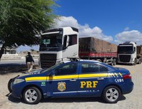 PRF retém cargas de milho e de madeira irregulares em Sertânia
