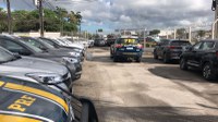 PRF e PM recuperam 24 carros levados de concessionária paulista no Recife
