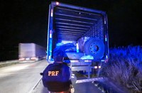 PRF e Polícia Civil detém trio com carga roubada em Gravatá
