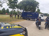 PRF recolhe 13 animais em operação de segurança viária no Recife